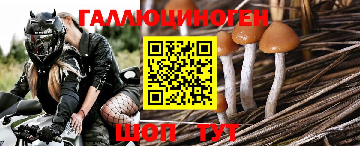 Псилоцибиновые грибы мицелий  Вход с VPN  Брянск 